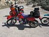 SNC1923 > A rest stop after the trecherous sand