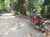 Rancheria/Porteguese Pass : 