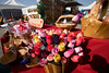 SNC1923 > Wooden Roses