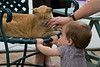 SNC1923 > Matchmaking at Marci's photo