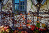 Carmel art gallery